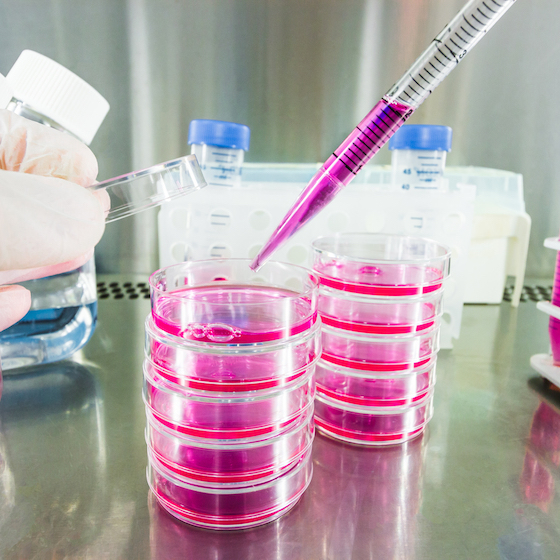 Tumours can be analyzed to identify links between genes and cancer.