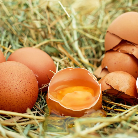 Some vaccines are made with eggs.