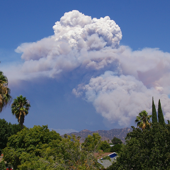 Clouds produced by forest fires are not real clouds because they are made only of smoke.