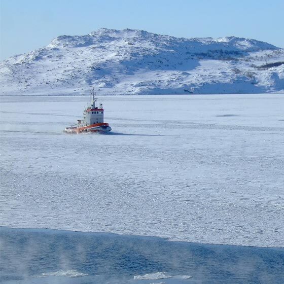 The Arctic Ocean is surrounded by six countries.