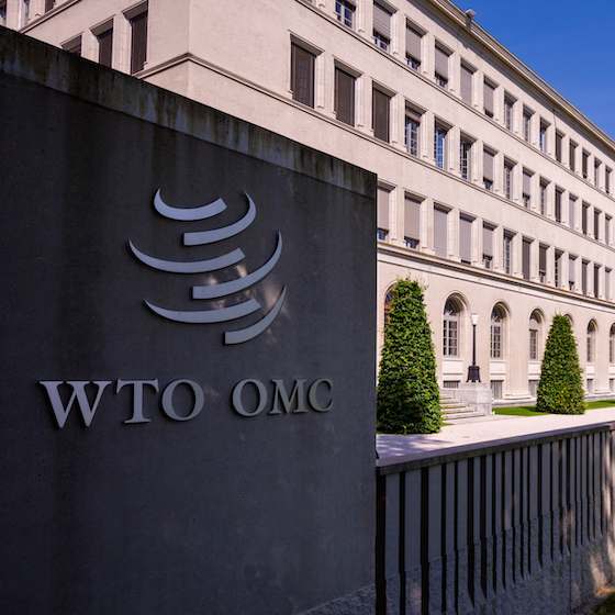 Under a no-deal Brexit, trade terms between the UK and the EU would initially be set by the World Trade Organization.