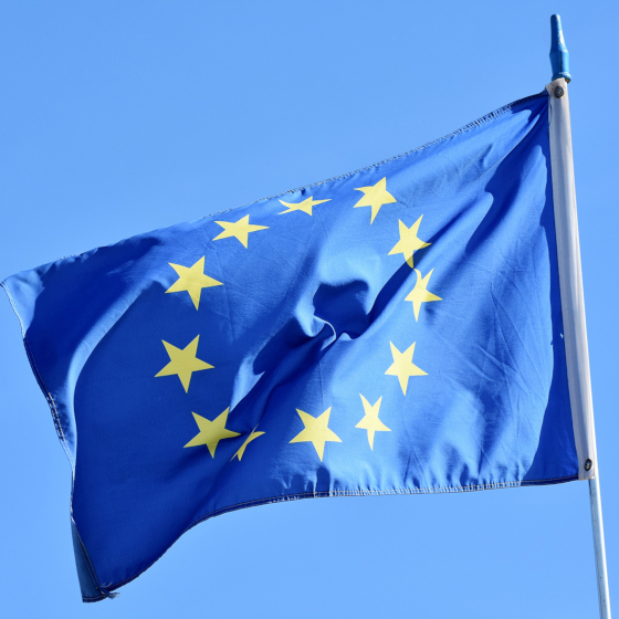 Denmark, Finland and Sweden are original members of the European Union, which was created in 1993.