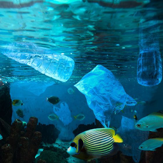 There is more plastic than there are fish in the ocean.