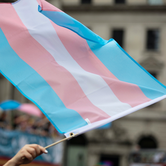 The transgender flag is more than 20 years old.