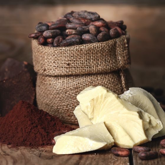 The Maya used cocoa butter to treat snake bites.