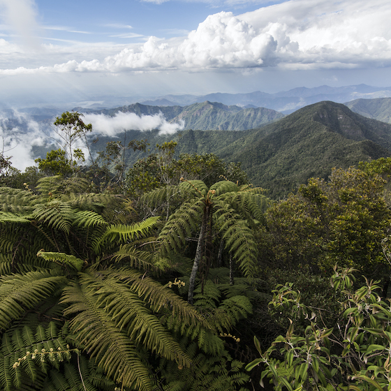 Environ 80 % du territoire de Cuba est composé de montagnes.