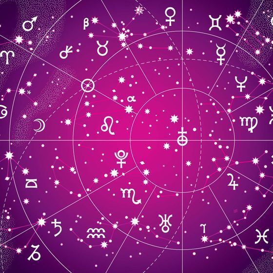 Chaque personne possède un signe solaire (associé à ses comportements externes) et un signe lunaire (associé à ses émotions internes).