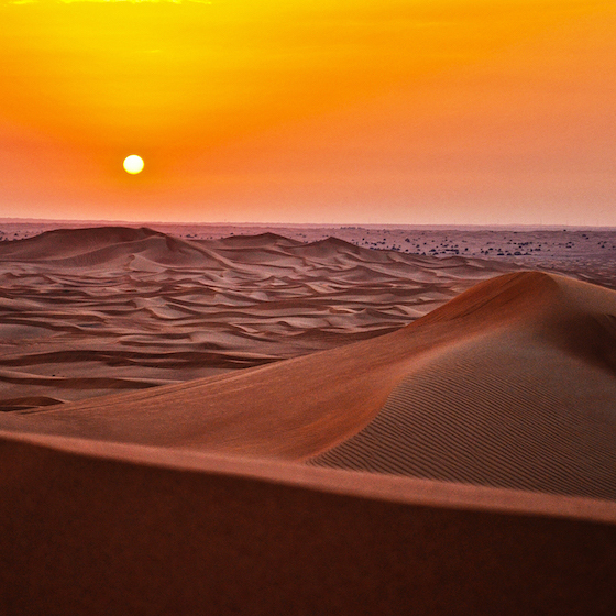 The year 2019 was the second warmest year on record. 