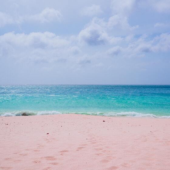 The waters surrounding the Antilles have an average temperature of 25°C (77°F).