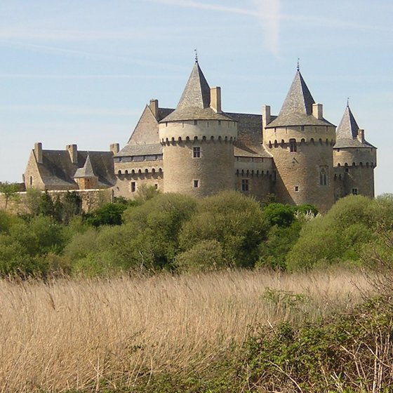 Au Moyen Âge, la majorité des châteaux étaient utilisés par les rois.