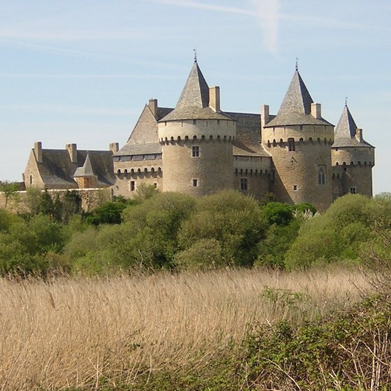 In the Middle Ages, most castles were used by kings.