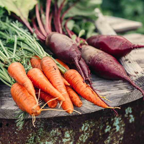 La phrase « j’aime les carottes, les betteraves, le brocoli, mais pas les échalottes » contient une faute.