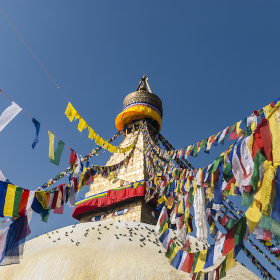 Tibetans celebrate Chinese New Year.