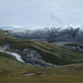 Only 0.77 sq. mi. (2 km²) of the immense territory of Greenland is forested.