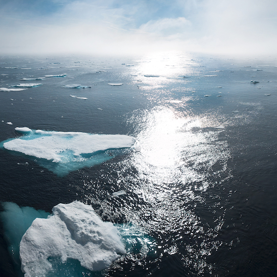 In the summer of 2019, the Arctic sea ice cover fell to its second lowest level on record. 
