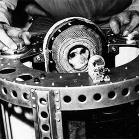 Albert II, le premier primate à atteindre une altitude de plus de 134 km (83 mi), est décédé après un atterrissage raté.