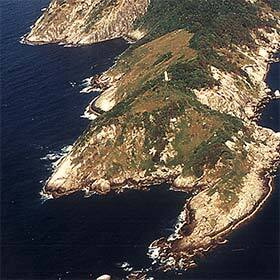 The highest density of poisonous snakes in the world is found on Ilha da Queimada Grande.