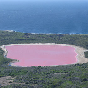 La couleur rose du lac Hillier est causée par l’abondance des crevettes qui y vivent.