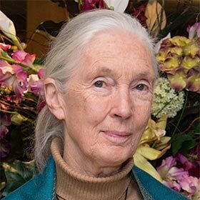 Jane Goodall has profoundly changed our understanding of the animal world.