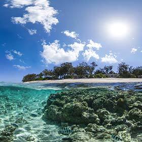 L’île Lady Elliot, d’une superficie d’environ 40 hectares (99 acres), est l’un des endroits les plus silencieux de la planète.
