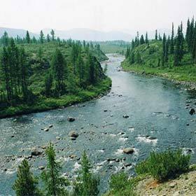 Part of the world’s largest forest is in total darkness for several days each year.