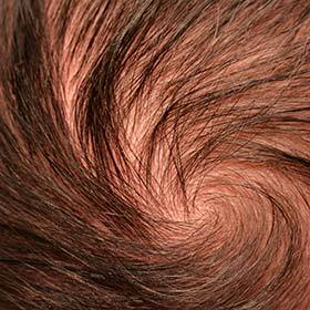 The average human head has 110,000 hair follicles.