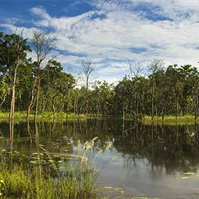 The park located at the foot of the Himalayas is home to rhinos and tigers.