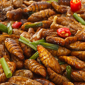Around 2 billion people regularly eat insects as part of their diet.