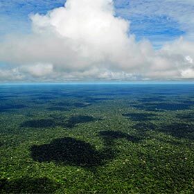 La forêt amazonienne s’étend sur trois pays.
