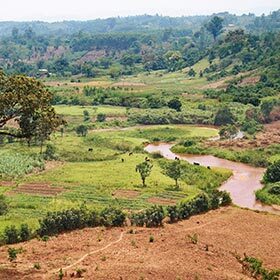 L’Afrique couvre 14 % de la superficie de la Terre.