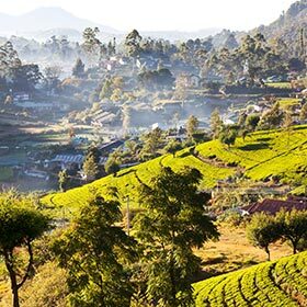 L’Asie couvre environ 30 % des terres émergées de la planète.