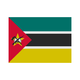 The flag of Mozambique is the only one that presents an image of a gun.