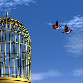 Leonardo da Vinci bought caged birds to free them.