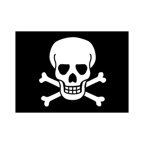 The pirate flag is nicknamed “Calico Black”.