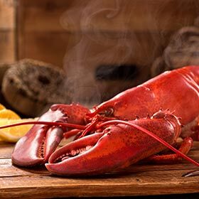 Lobsters were once considered the poor man’s chicken.
