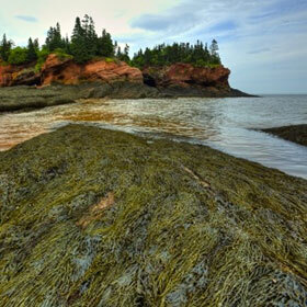 Les plus grandes marées au monde se produisent dans la baie de Fundy au Canada.