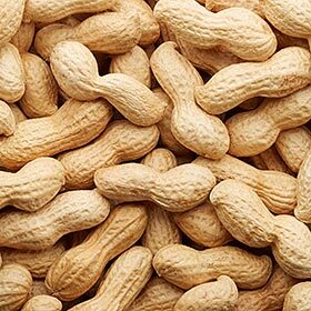 Peanuts aren’t nuts: they’re legumes.