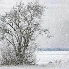 Viking marriages took place at the coming of winter.