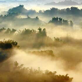 Les mots brume et brouillard sont synonymes.