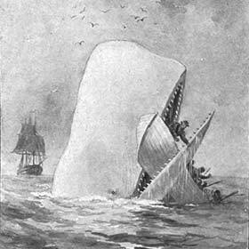 The famous book Moby Dick was inspired by a true story.
