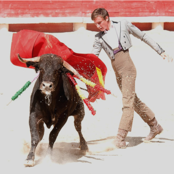 Picasso produced numerous paintings that denounced bullfighting, a very popular activity in his native region.