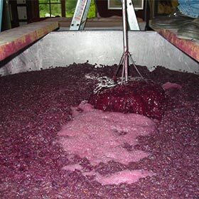 Red wine is fermented at a temperature of 104-122 °F (40-50 °C).
