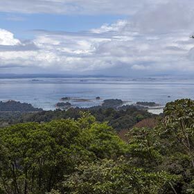 Le Suriname est un pays d’Asie du Sud-Ouest.