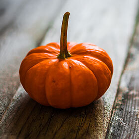 Christopher Columbus was the first person to bring pumpkins back to Europe.