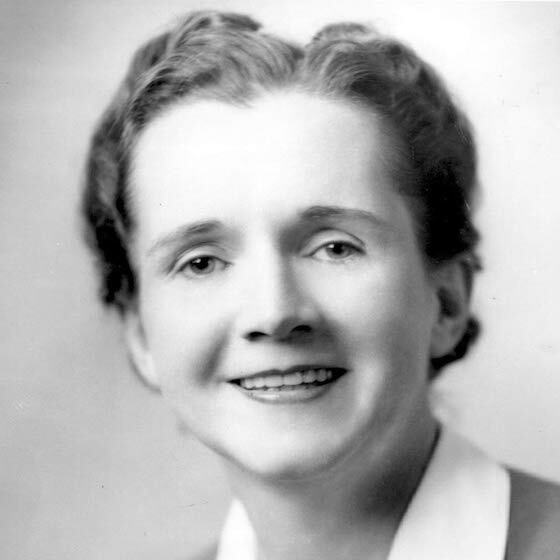 Rachel Carson’s book, Silent Spring, launched an ecological movement resulting in a ban on DDT (pesticide).