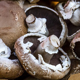 Portobello mushrooms contain as much potassium as bananas.