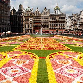 Chaque année paire, la Grand-Place de Bruxelles est couverte de plus de 500 000 bégonias.