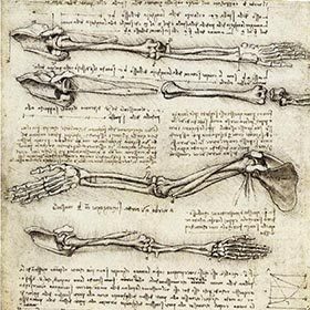 Leonardo performed autopsies to understand human anatomy.