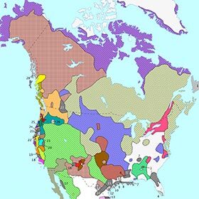 First Nations speak more than 50 different languages.