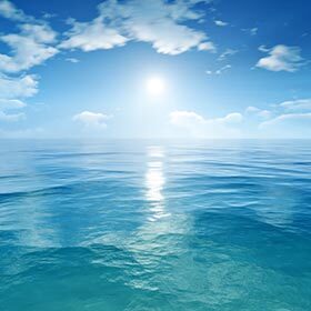 The ocean surface temperature varies between 28,4 °F (−2 °C) and 95 °F (35 °C).